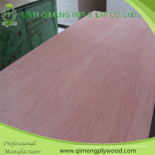 Bbcc Grade Popar or Hardwood Core 1220X2440X6mm Bintangor Plywood